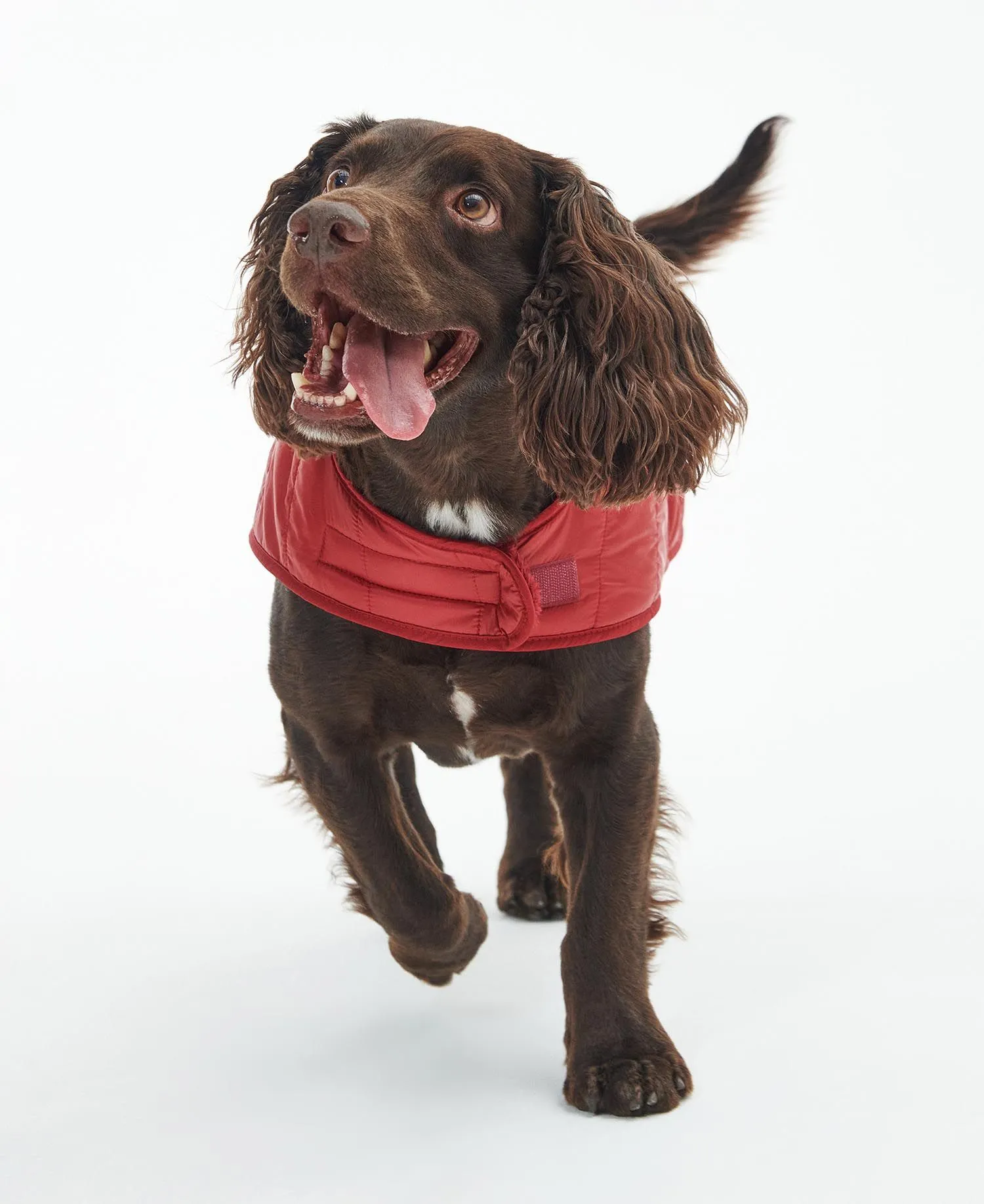  Baffle Quilted Dog Coat     