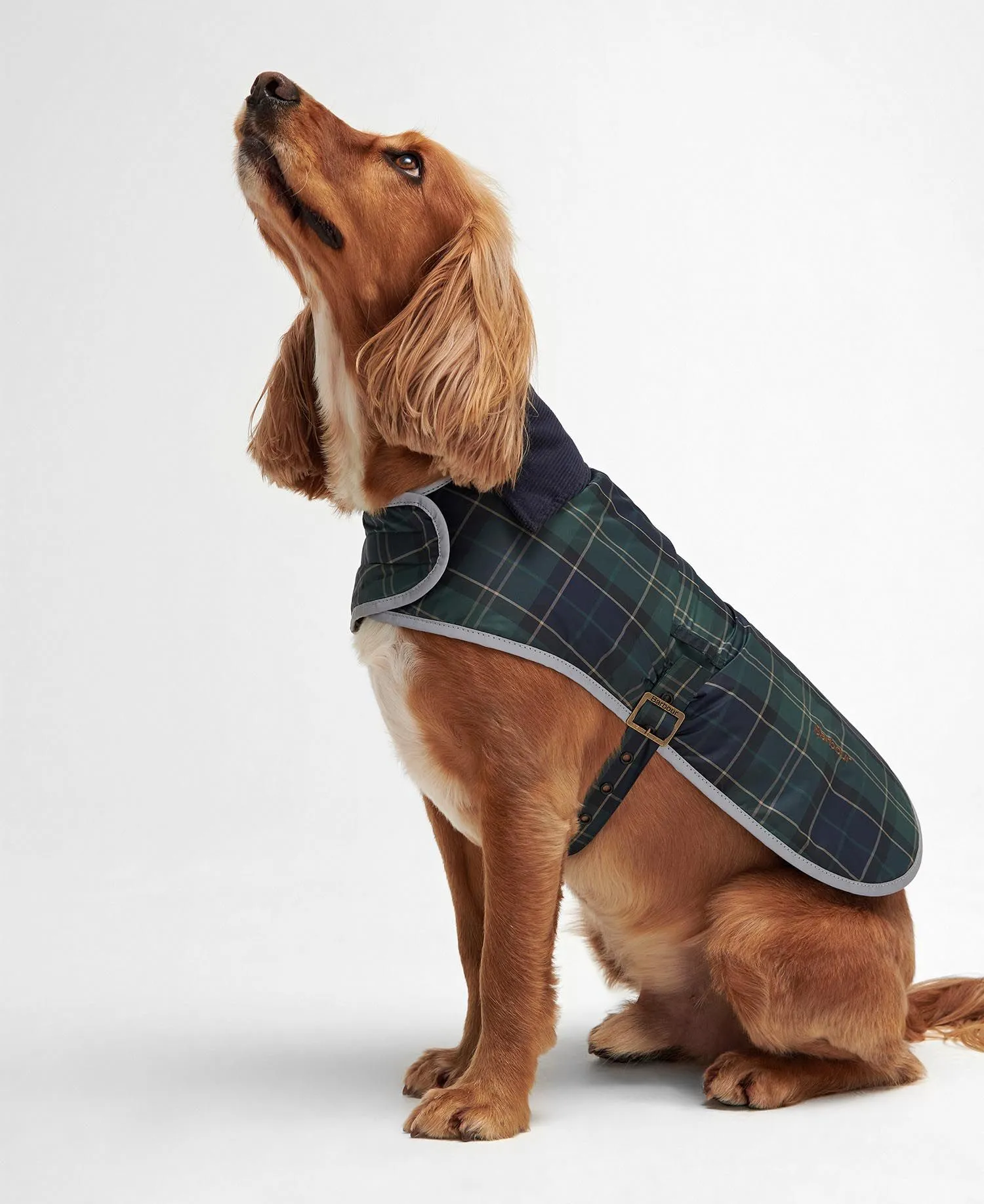  Wetherham Tartan Dog Coat     