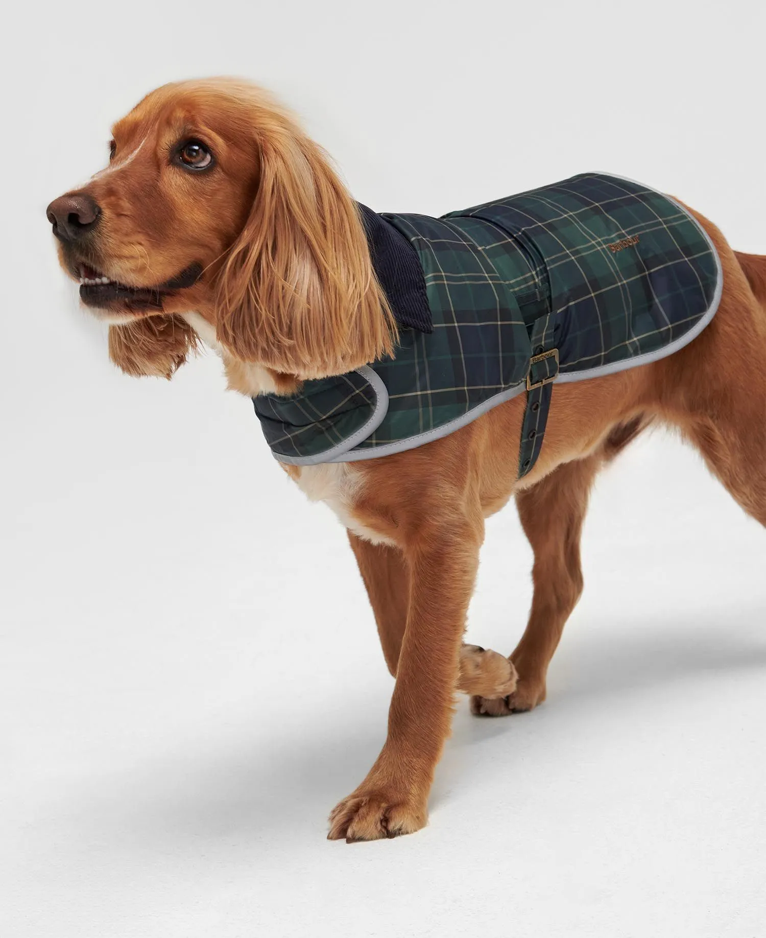  Wetherham Tartan Dog Coat     