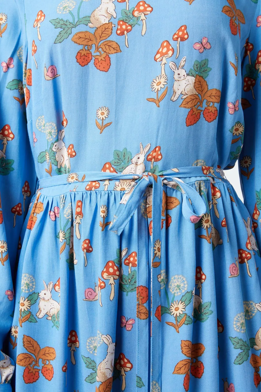 Wonderland Dress